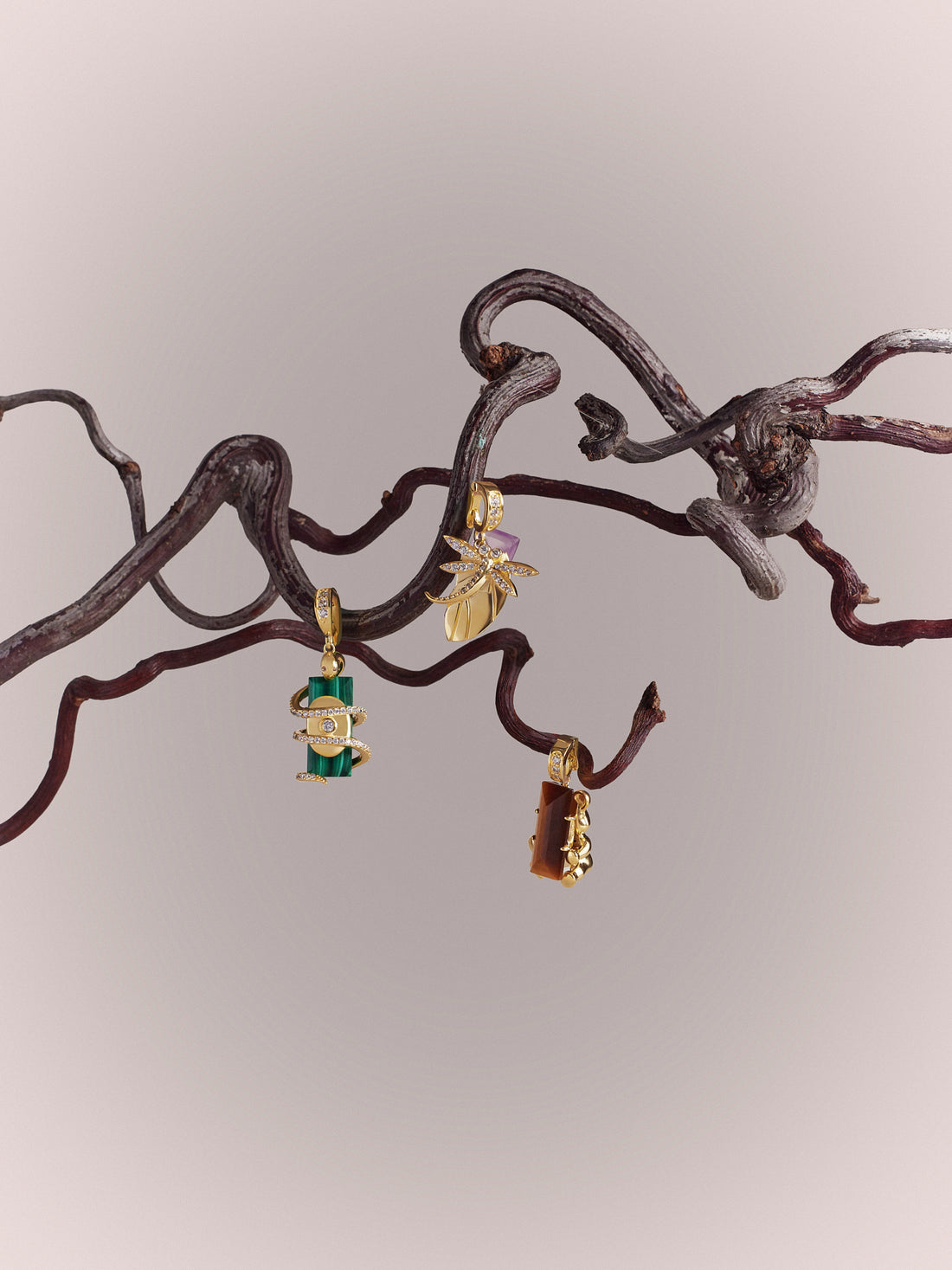 Spirit Animal Talisman — the symbol