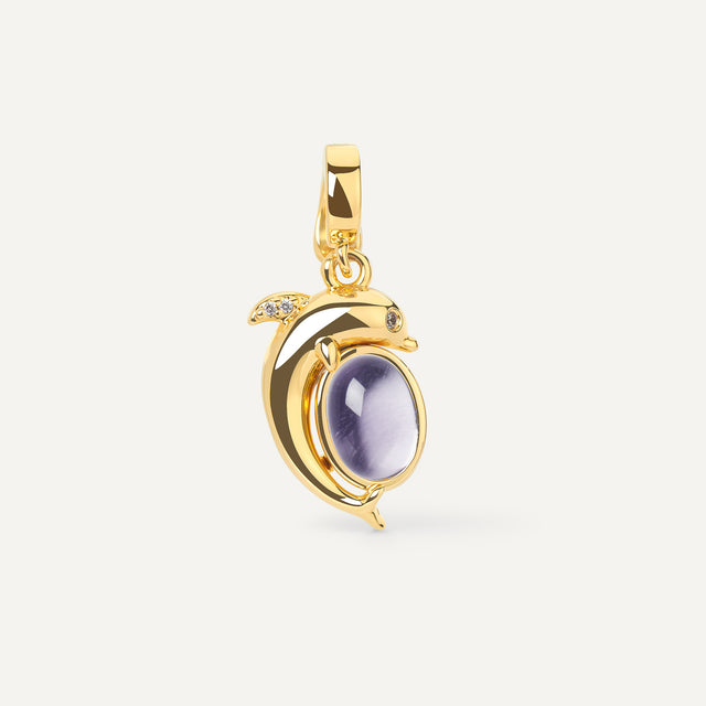 Mini Dolphin Charm