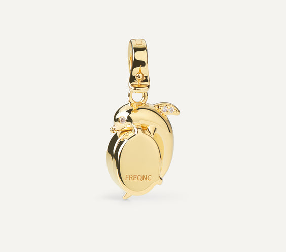 Mini Dolphin Charm product detail - FREQNC