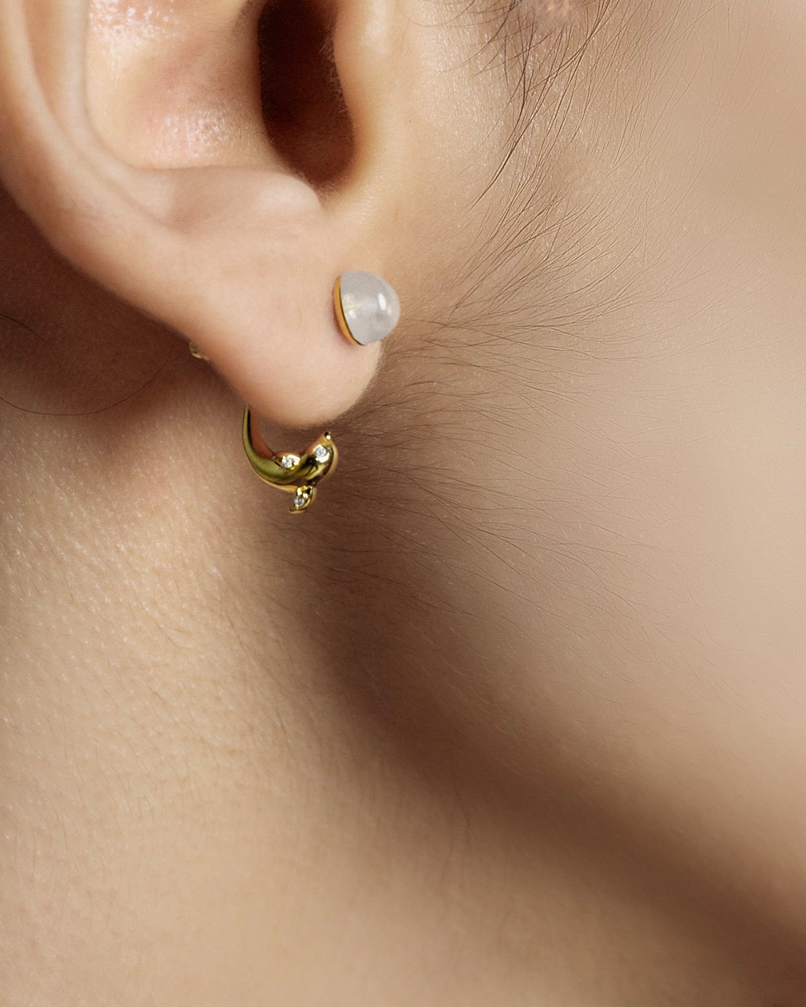 Dolphin Earrings worn on model with layered jewelry - FREQNC